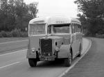 Albion CX39N Thurgood 1950 года